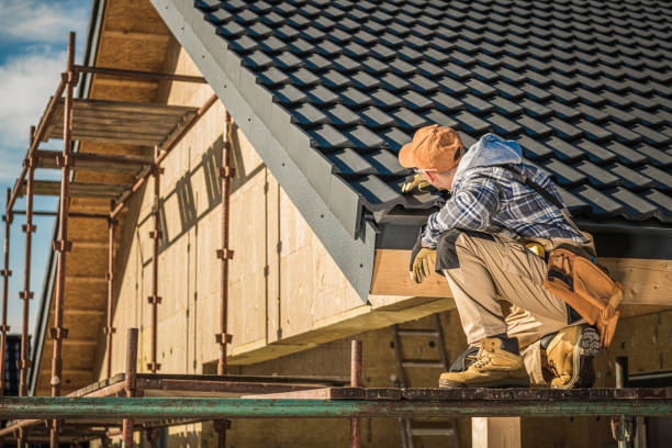 Best Roof Moss and Algae Removal  in Gerald, MO